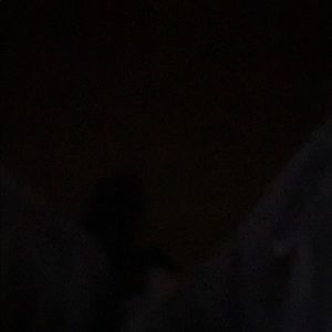 Meet your Posher, Zenin